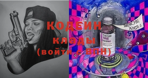 ПСИЛОЦИБИНОВЫЕ ГРИБЫ Вязники