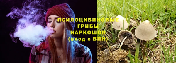 MDMA Premium VHQ Вяземский