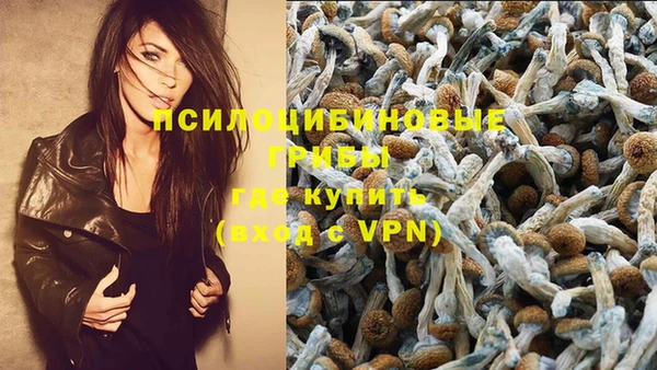 a pvp Горно-Алтайск